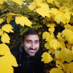 Reza Malayeri's picture Reza Malayeri's picture