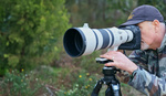Canon RF 100-300mm f/2.8 Review: Is This $9,500 Lens Worth It?