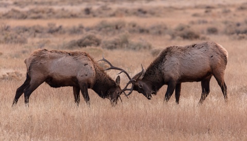 The Only Reason I Keep Facebook Is To Watch Photographers Fight