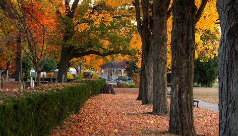 OM SYSTEM 12-40mm f/2.8 PRO II Review: A Reliable Everyday Zoom